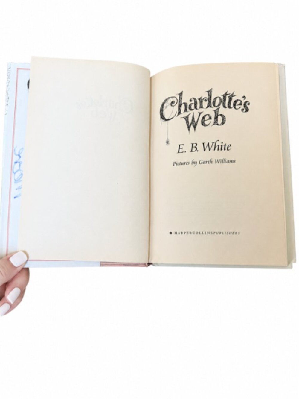 Charlotte's Web - Picture 5 of 6